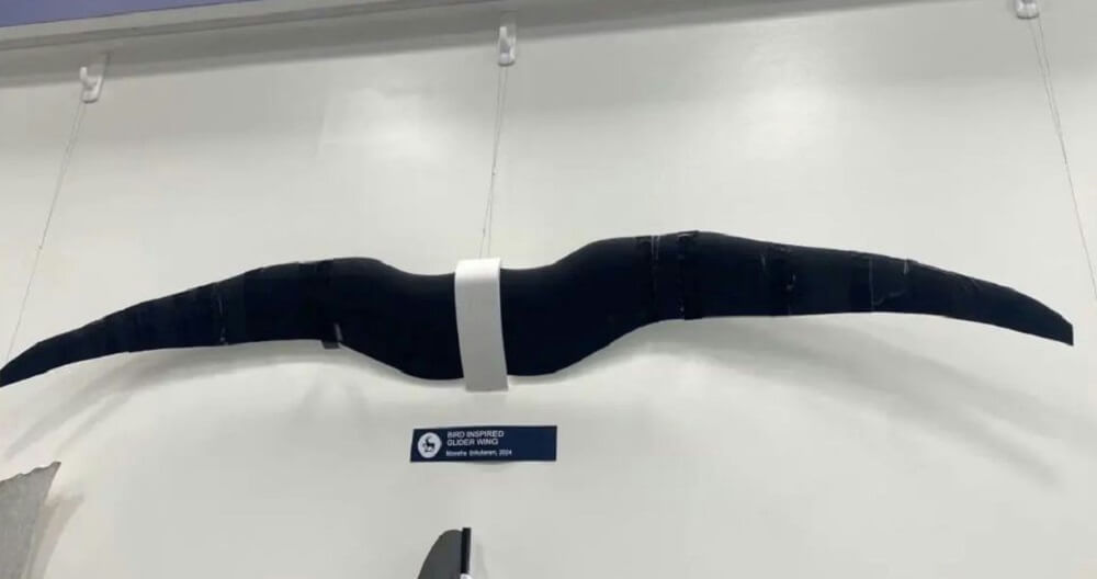 "Nature has already solved many of the challenges we face."