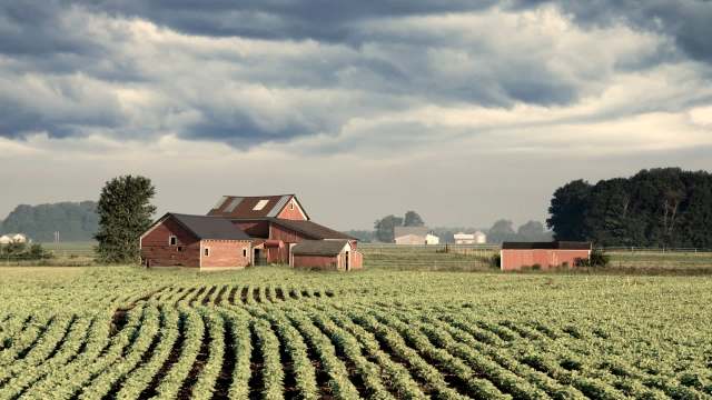 "It’s not leaving."