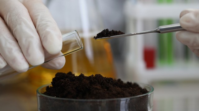 They still need further testing in order to confirm this conclusion.