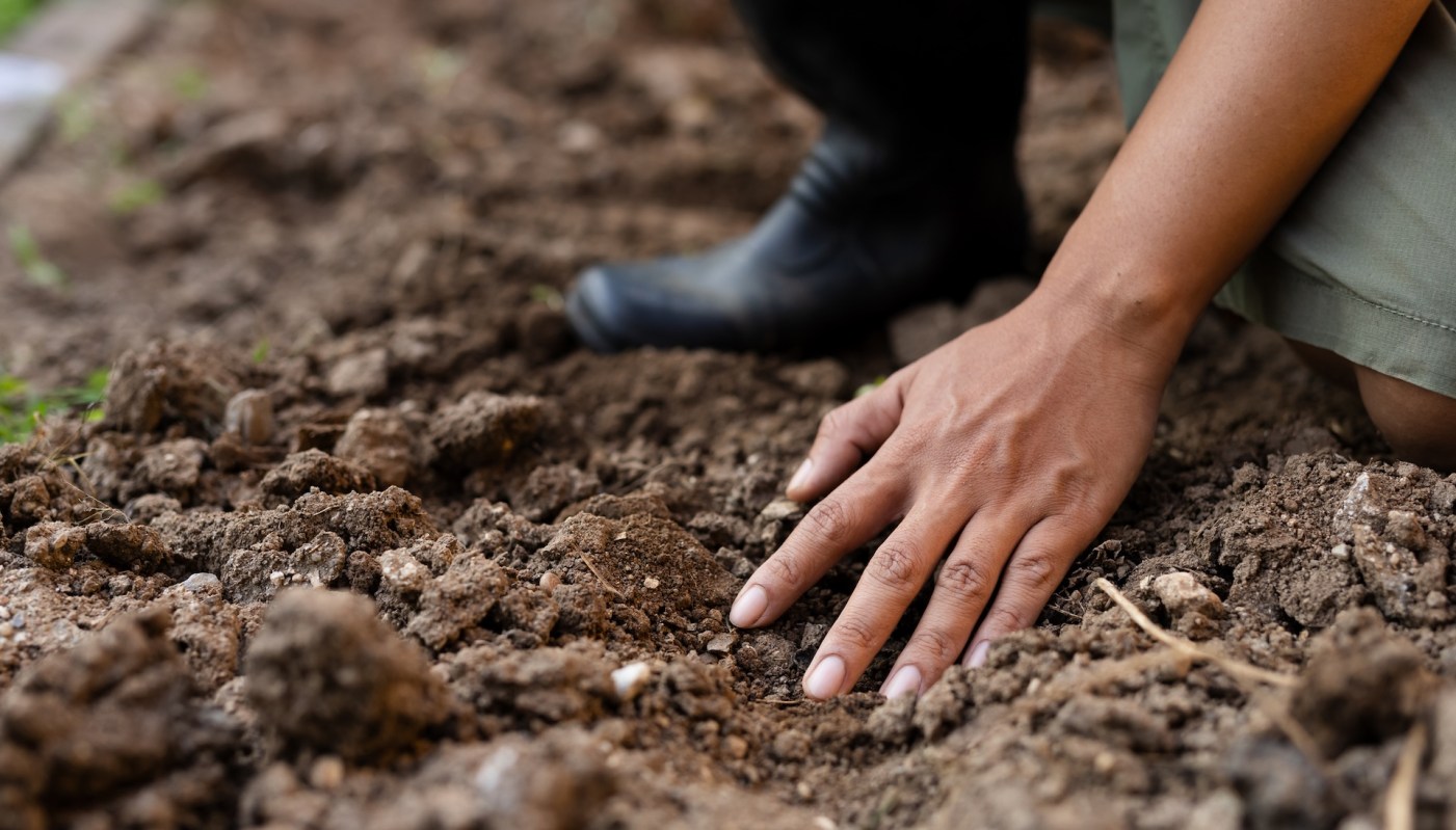 The device shows promise to become a reliable workhorse.