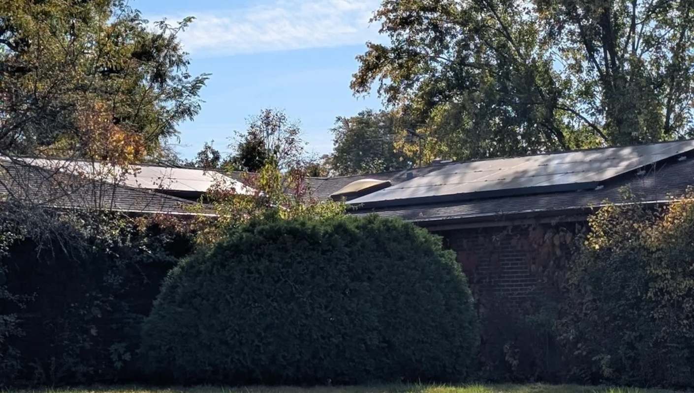 "That is your saving grace."