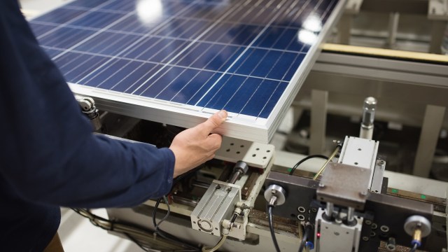 Researchers at the University of Cambridge discovered that the organic semiconductor molecule known as P3TTM can harvest light.