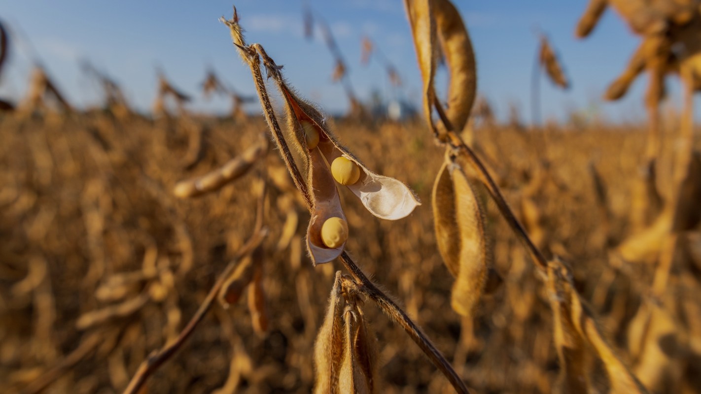 Droughts are worsening in Alabama and impacting the lives and crop production of local farmers.