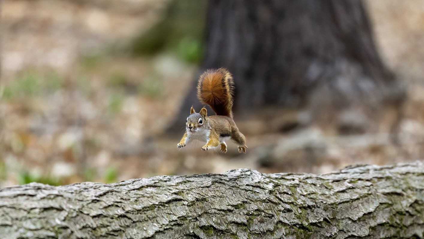 "It's following us."