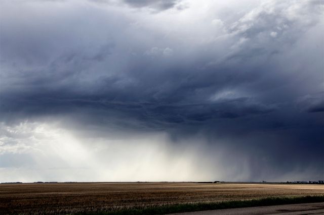 "Honestly, it's just sad."