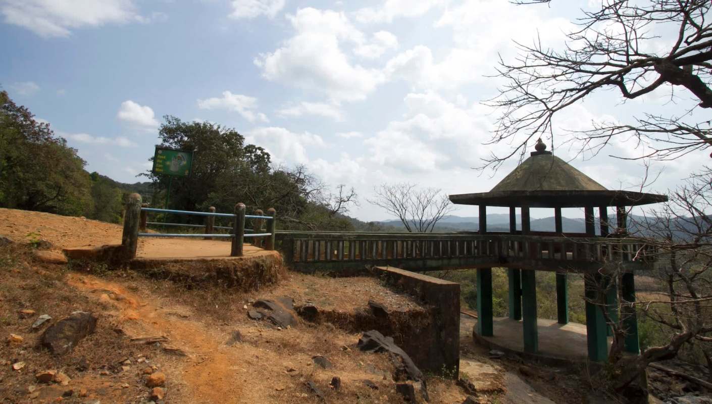 Officials at a tiger reserve in India were astonished by the sighting of a striped hyena on a trail camera well outside its known range.