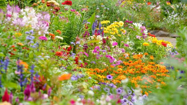 "I will definitely be following this."