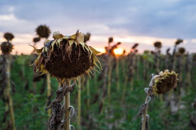 Experts stress that investing in long-term resilience are the most reliable ways to stop the ongoing cycle.