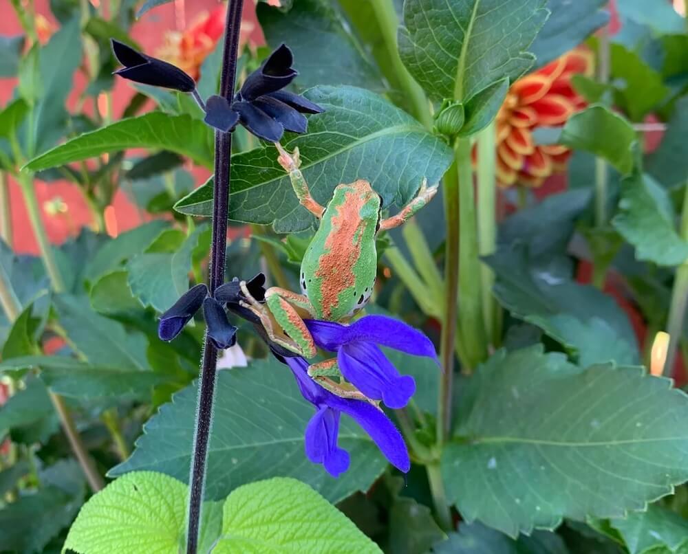 "You can tell they love the space you nurture for them."