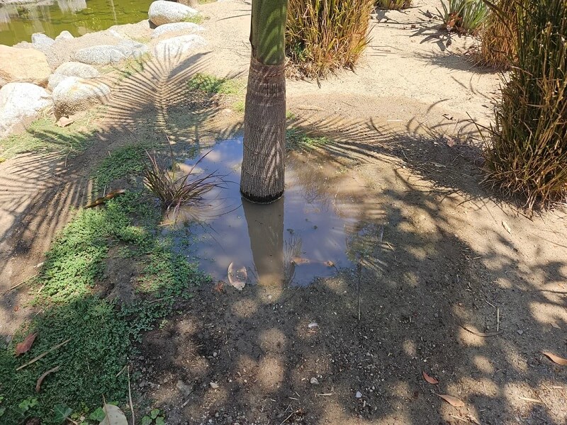 Commenters were quick to sound the alarm.