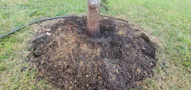 "I want to make sure I can do my best at fixing this issue."