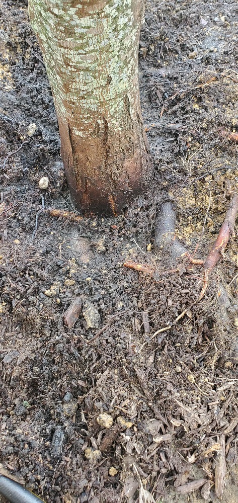 "I want to make sure I can do my best at fixing this issue."