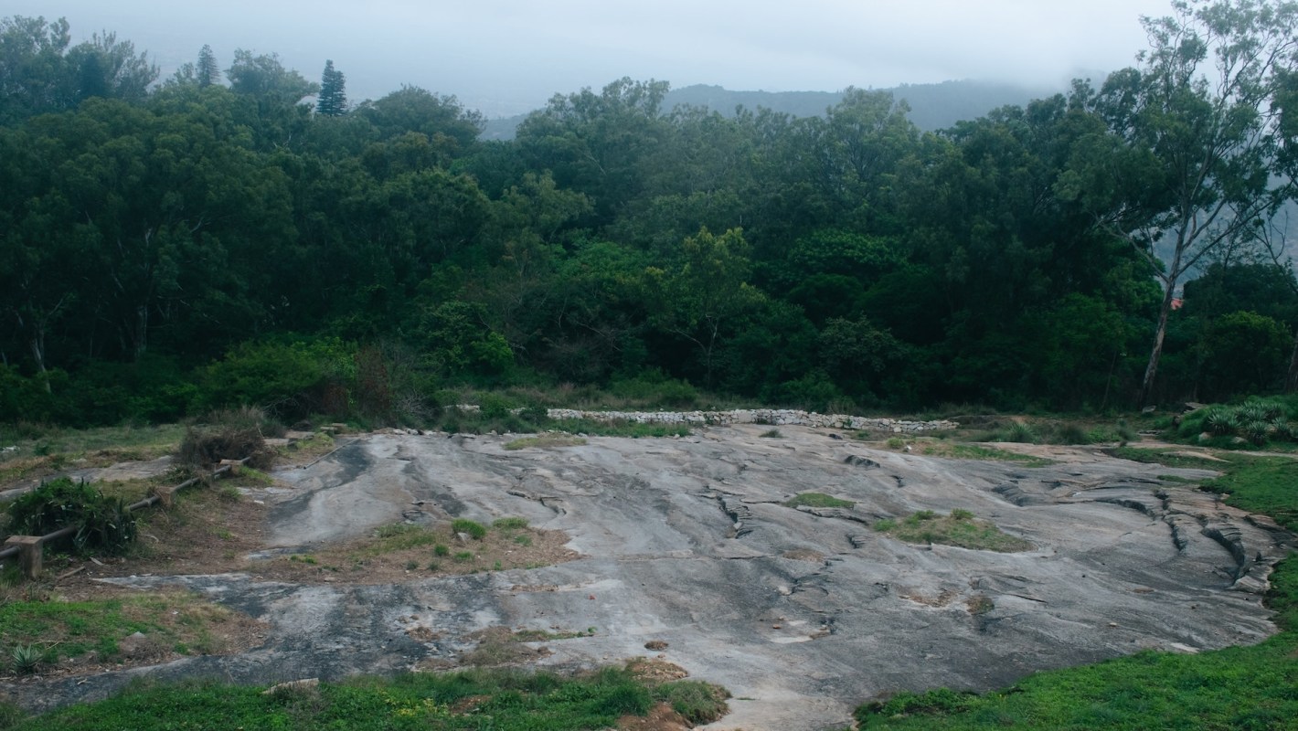 "The death of five tigers in one day is unacceptable."