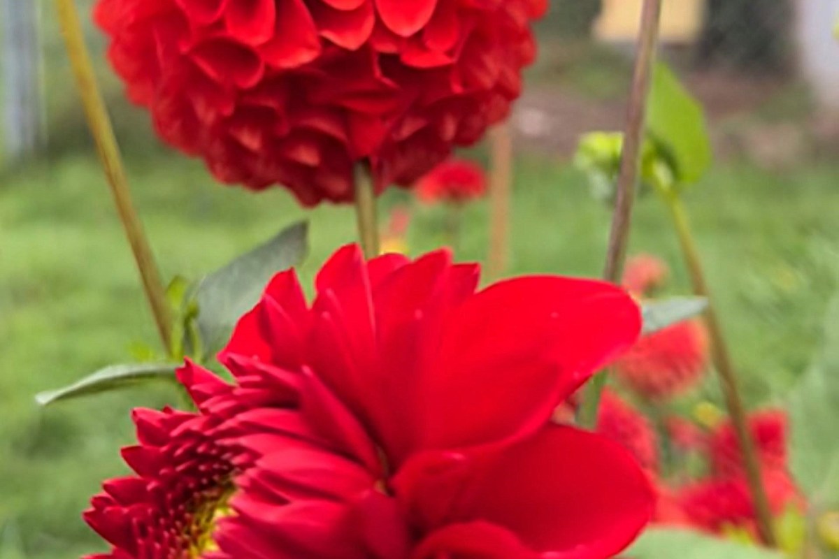 "Oh this looks like such a majestic experience."