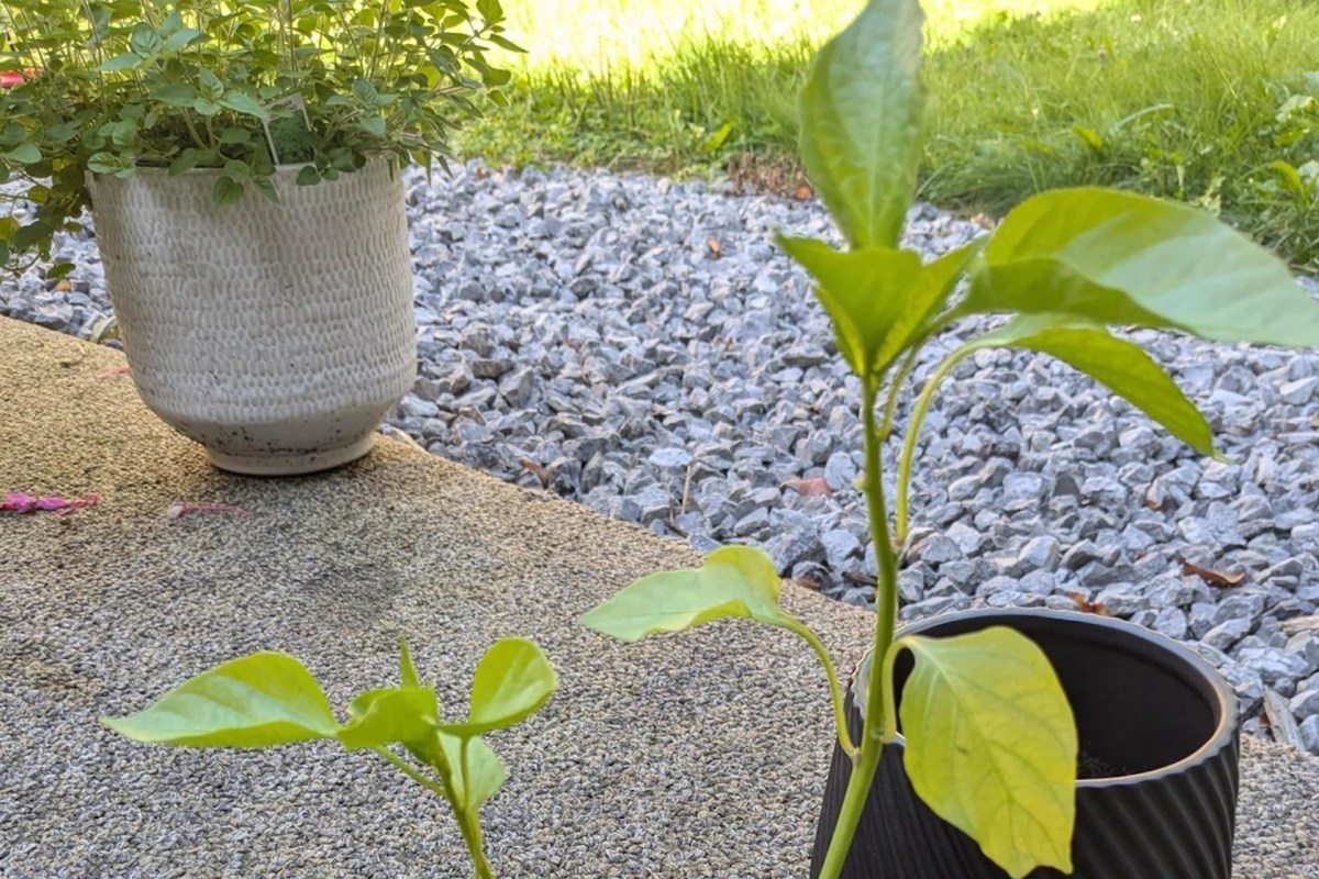 "I wish I had this problem."