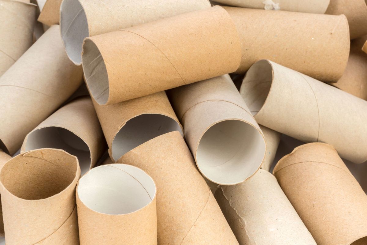 One clever gardener has found a simple, zero-cost fix using something most of us toss in the trash: empty toilet paper rolls.