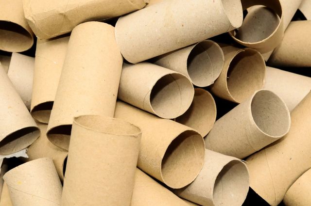 One ingenious TikTok user shared a simple, zero-cost way to keep pups busy using empty toilet paper rolls.