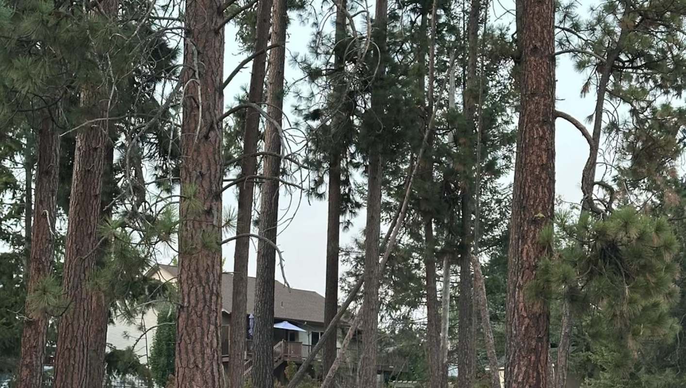 Hundreds of commenters chimed in.