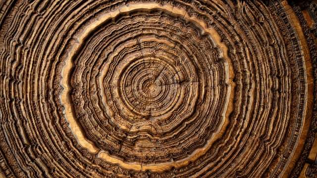 "Even without satellite or instrumental records."