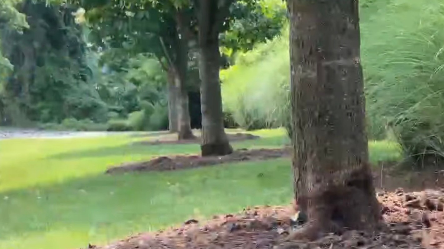 The video garnered quite a bit of attention.