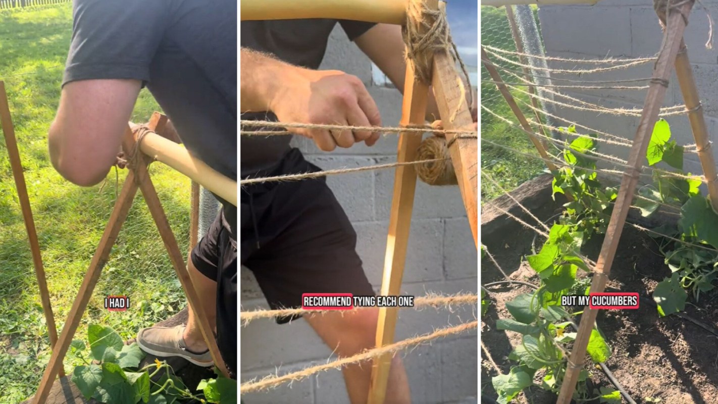 One clever TikTok user shows how to make a sturdy DIY trellis using scrap materials from around the yard.