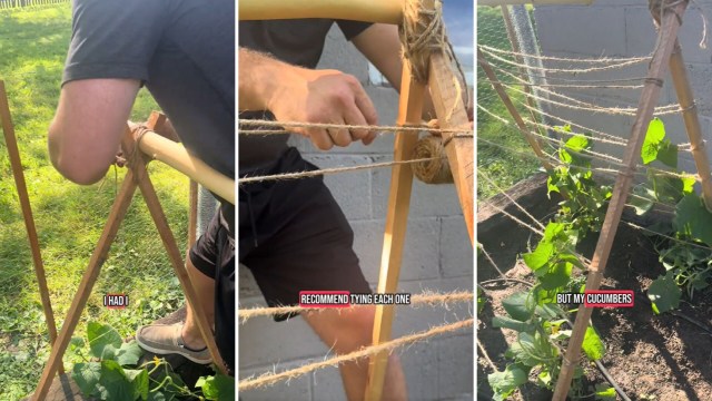 One clever TikTok user shows how to make a sturdy DIY trellis using scrap materials from around the yard.