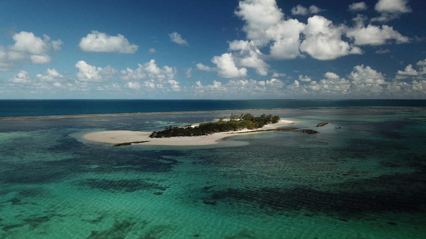 "We need to know more about their behavior."