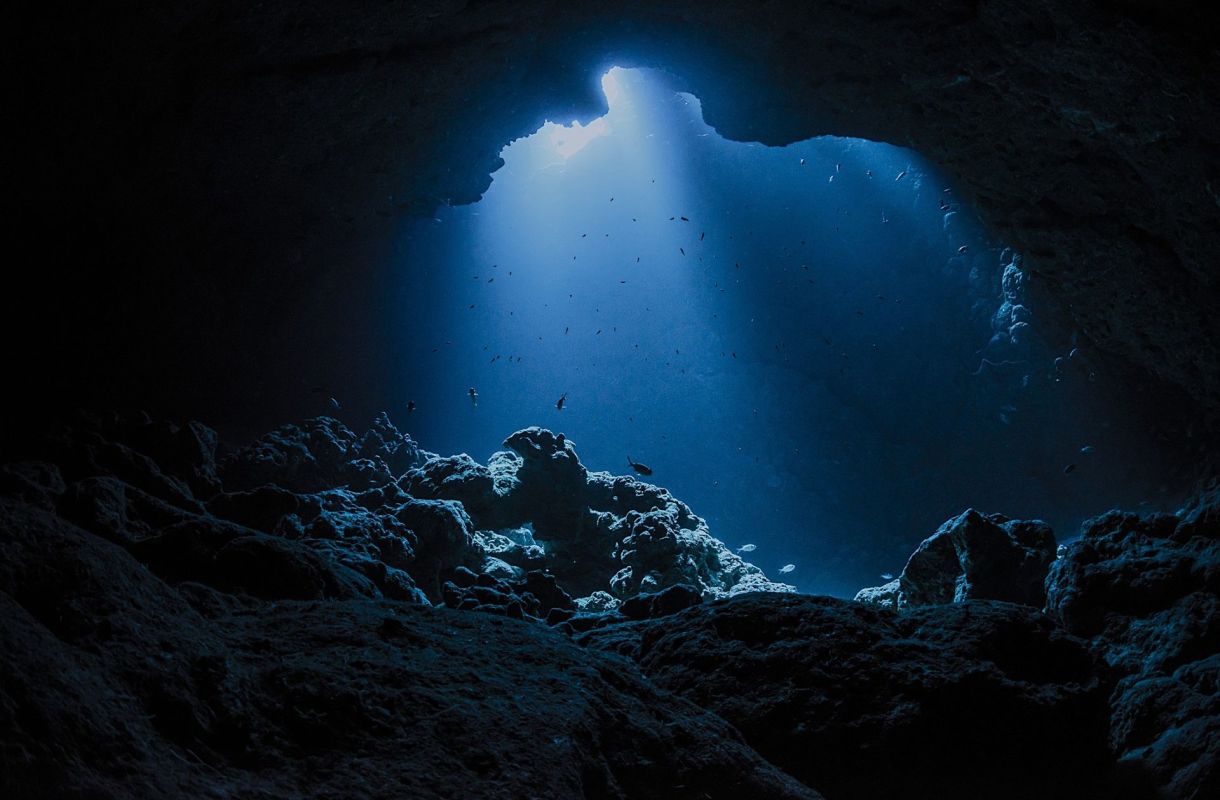 A new study has found that deep-sea mining in the Clarion-Clipperton Zone would threaten the habitat of dozens of marine species.