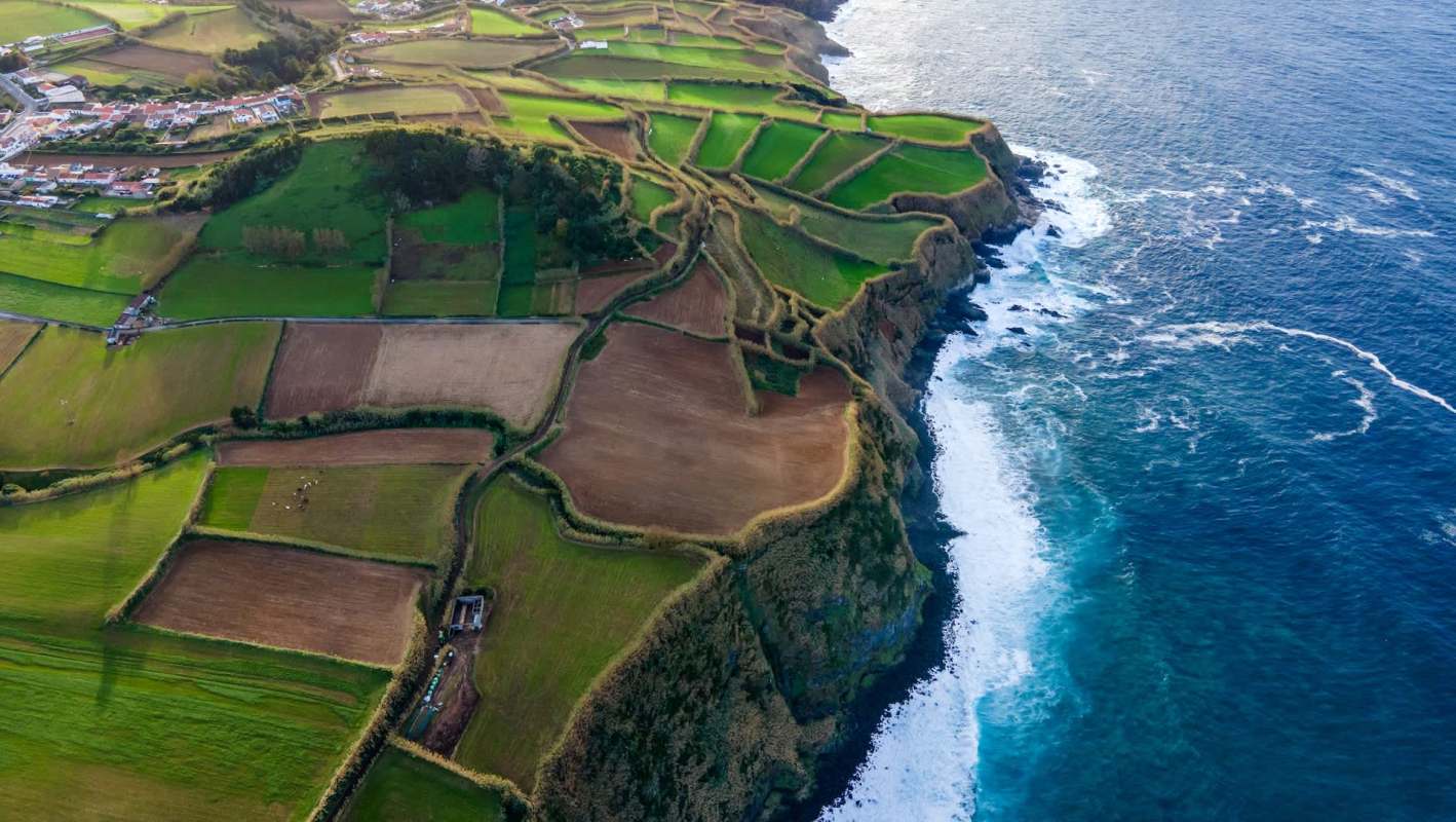 Scientists identified a temperature-related factor affecting all life on Earth, with broad implications for all species as the planet warms.