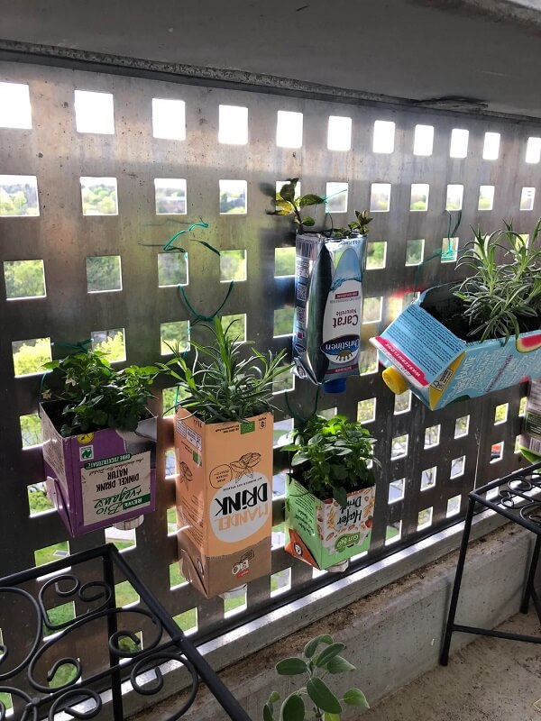 One Reddit user has a tip that can help you use beverage cartons to grow healthier, tastier food for cheap.
