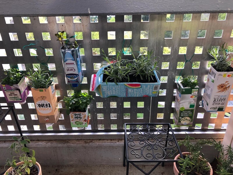 One Reddit user has a tip that can help you use beverage cartons to grow healthier, tastier food for cheap.