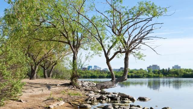 "There’s a particular niche of variables that determine where an animal can live."