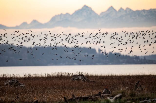 "Even the birds know to work smarter, not harder."