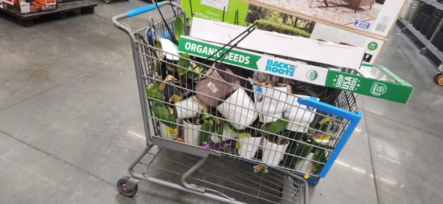 One Redditor shared a photo of a Walmart shopping cart filled with discarded orchids, highlighting the issue of plant waste.
