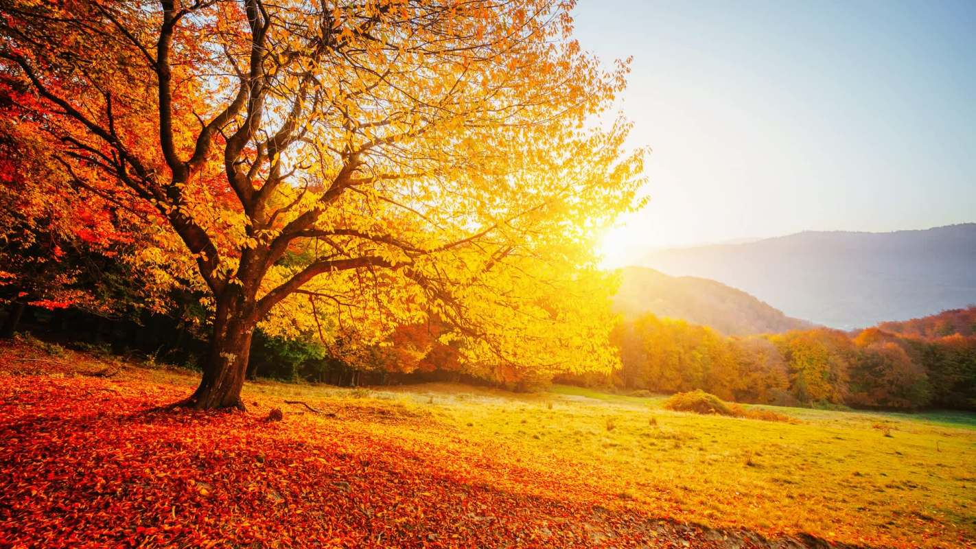 For many parts of the country, it has seemed like summer has spilled over into autumn.