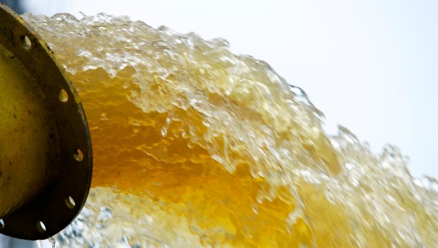 "The statute directly and substantially affects decisions concerning radiological safety levels."