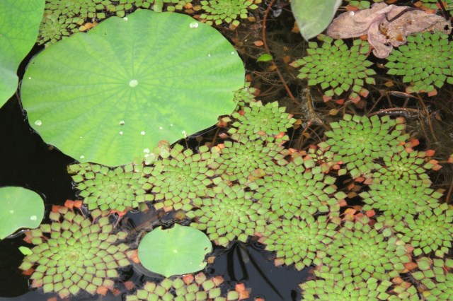 "Days spent in the field ... can be long, but they are always incredibly rewarding."