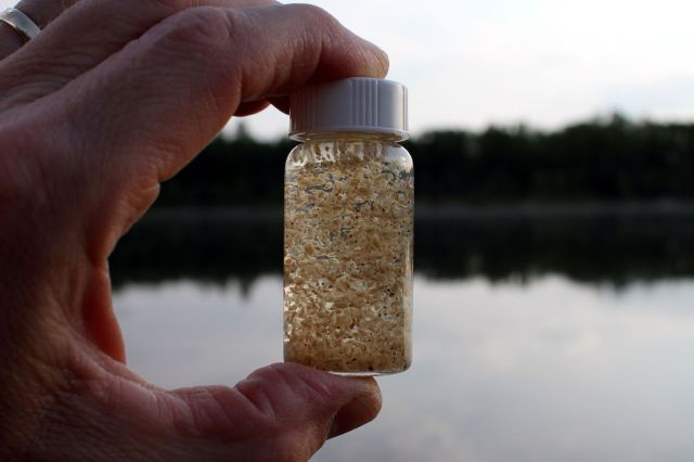 "That's one of the things we're trying to figure out."