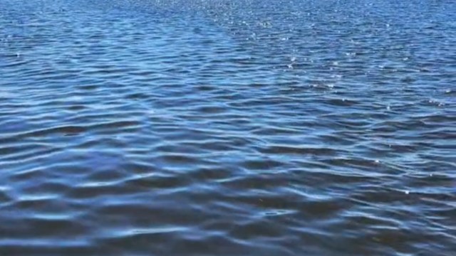 Farmers and conservationists in Florida have teamed up to implement a strategy that repurposes invasive weeds to nourish nearby hay fields.
