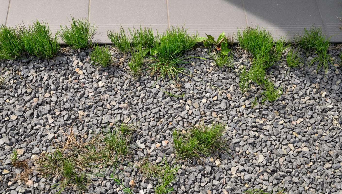 "How the f*** are HOAs a thing in America?"