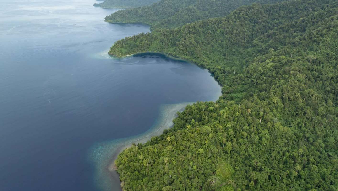 A new study has identified a crucial habitat for whale sharks, the largest fish on earth, that is also, unfortunately, under threat from human activity.
