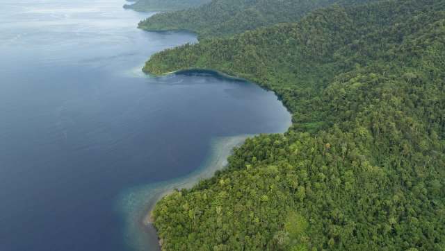 A new study has identified a crucial habitat for whale sharks, the largest fish on earth, that is also, unfortunately, under threat from human activity.