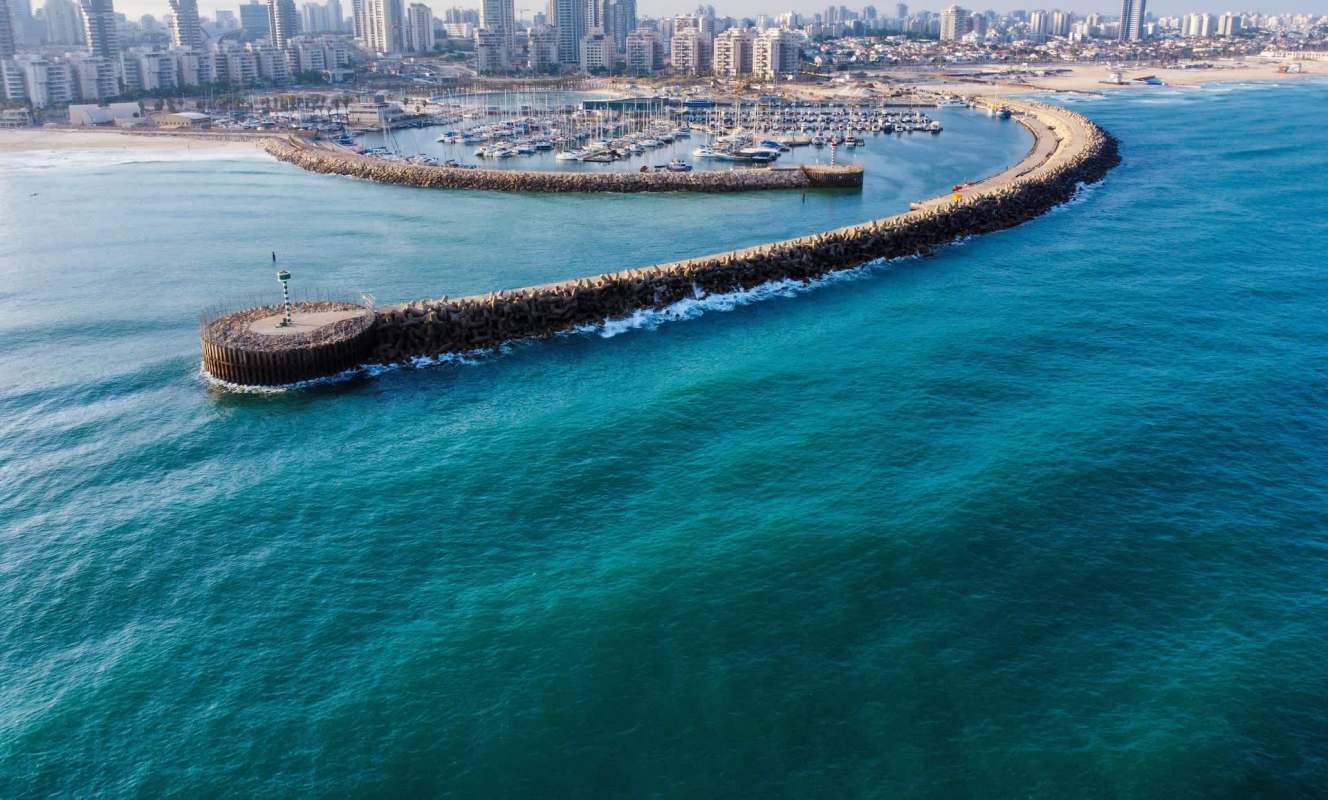 Swimmers at an Ashdod beach witnessed an astonishing sight when a huge fin surfaced nearby, revealing a whale shark.