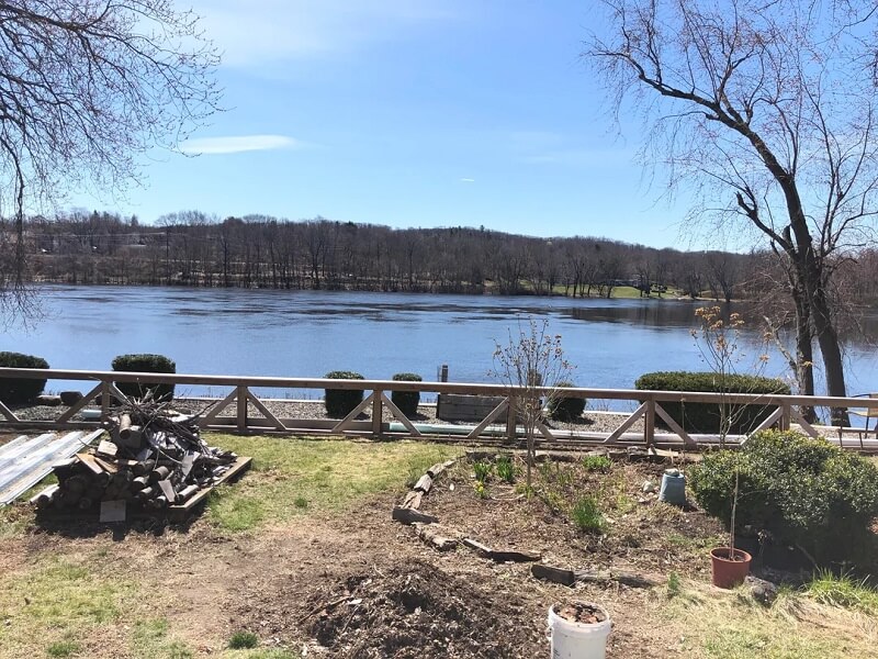 A proud gardener showed off the work put into his father-in-law's neglected lakeside yard with dramatic before-and-after photos.