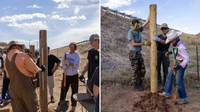 Four Colorado wildlife crossings underneath U.S. Highway 287 in Larimer County were constructed by college students to reduce vehicle collisions.
