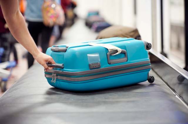 A 46-year-old man attempted to smuggle multiple wildlife species into Mumbai, India, in his luggage.