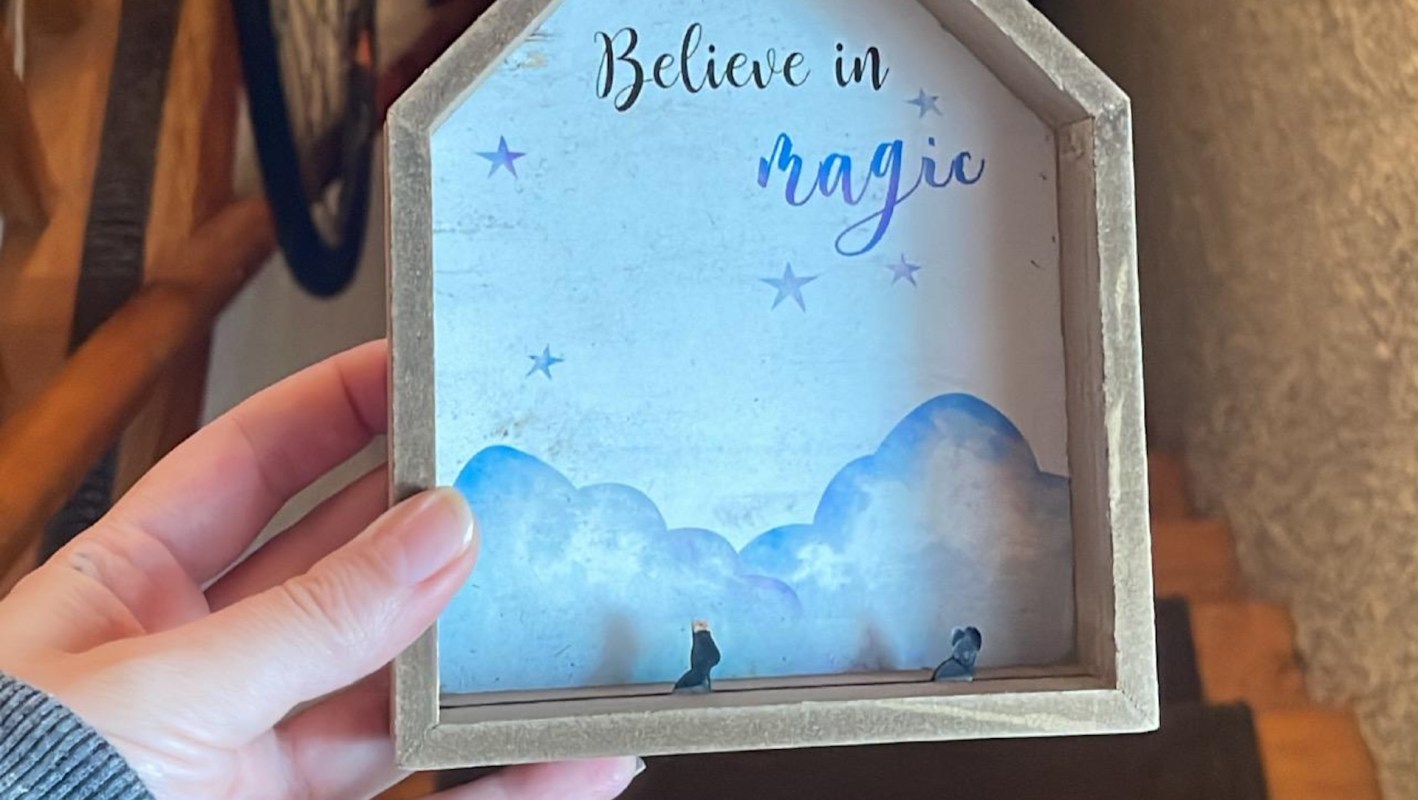 One Redditor demonstrated a classic upcycling hack by turning a shadowbox into a rock and trinket shelf.