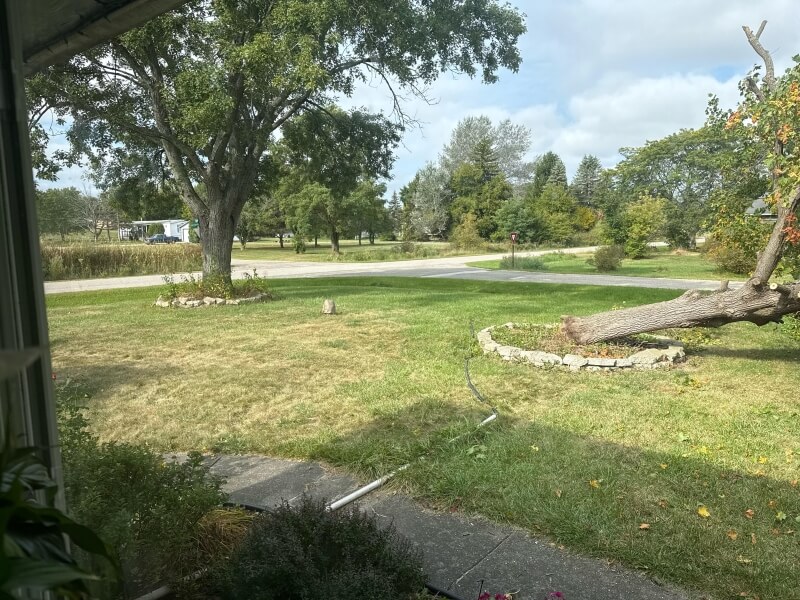 "Will it do it again on this other tree?"