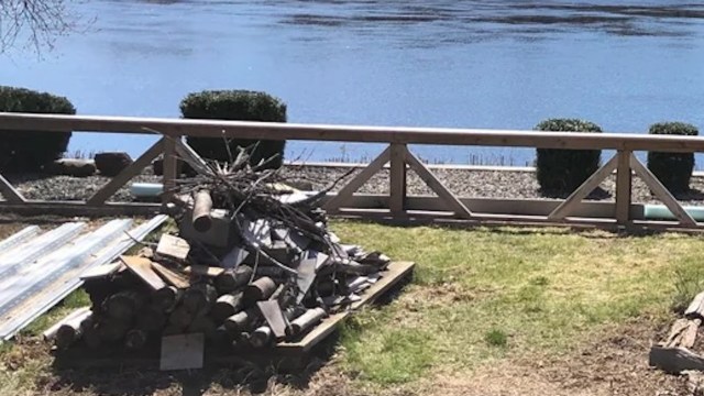 A proud gardener showed off the work put into his father-in-law's neglected lakeside yard with dramatic before-and-after photos.