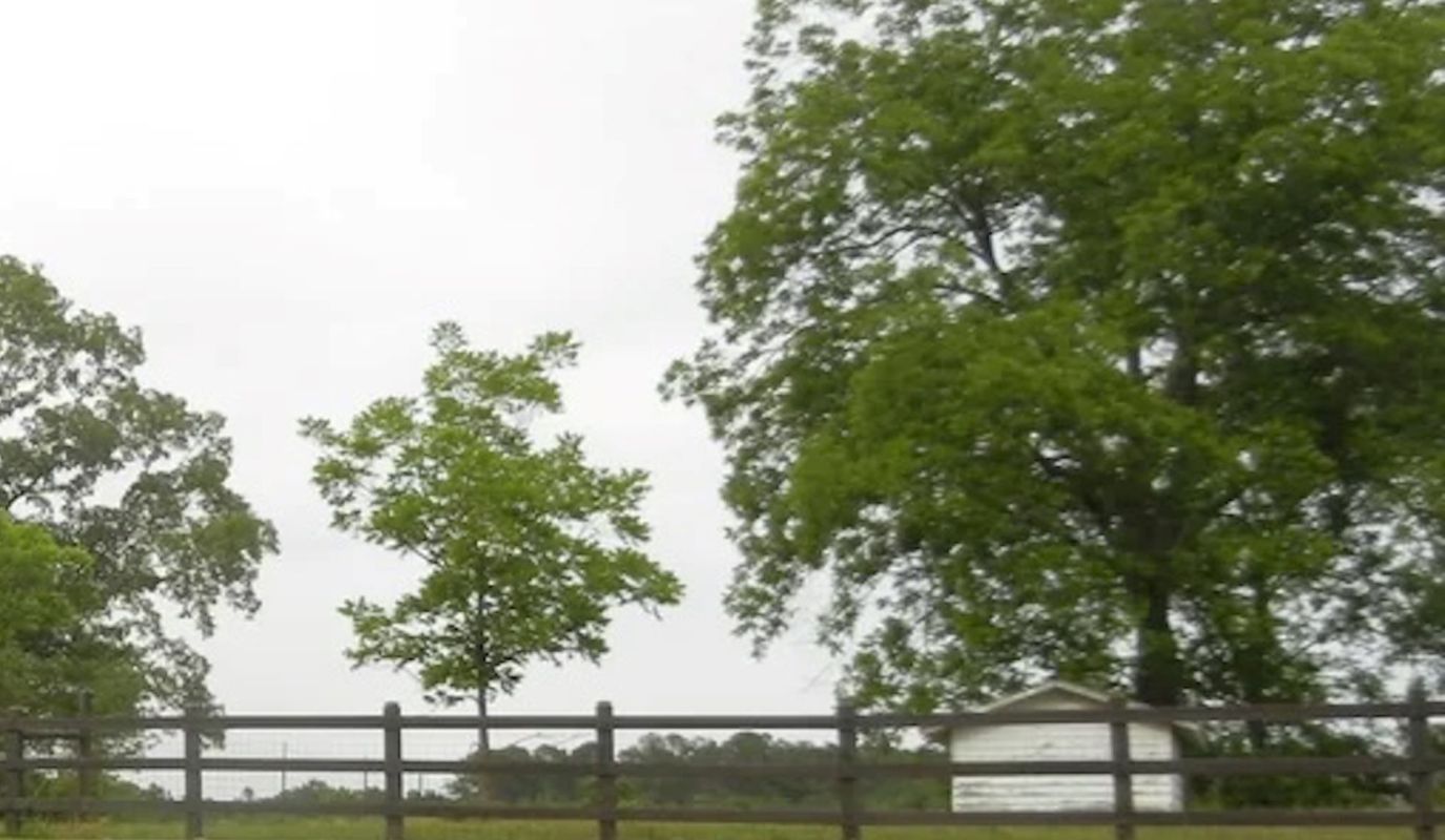 "You did the right thing."